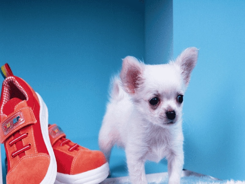 多囊试管 流产(打官司争试管)